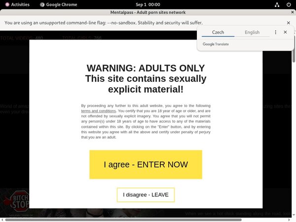 Mental Pass Passwords Accounts