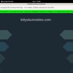 Kitty’s Kuriosities Hacked Account