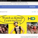 Americankittens Alternative Payment